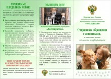 О правилах обращения с животными